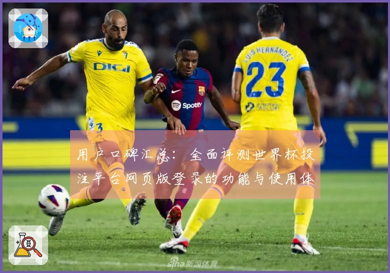 用户口碑汇总：全面评测世界杯投注平台网页版登录的功能与使用体验