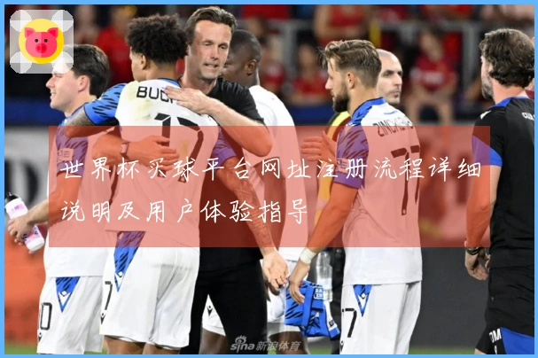 世界杯买球平台网址注册流程详细说明及用户体验指导