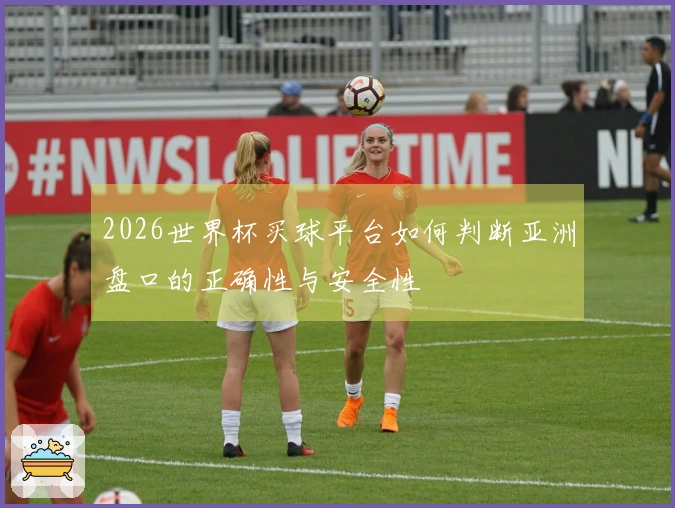 2026世界杯买球平台如何判断亚洲盘口的正确性与安全性
