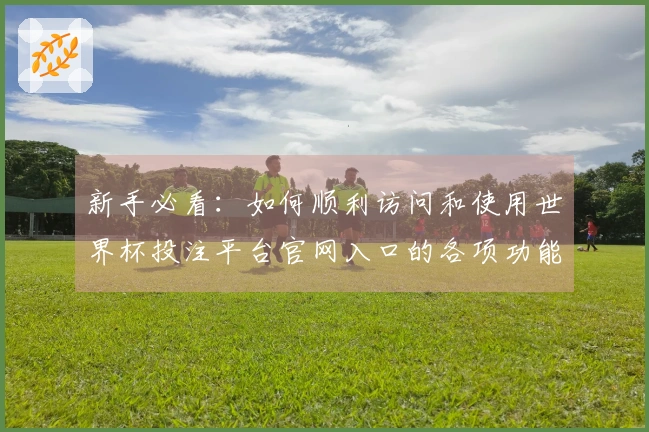 新手必看：如何顺利访问和使用世界杯投注平台官网入口的各项功能与服务