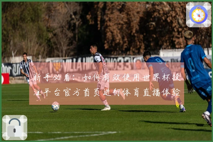 新手必看：如何有效使用世界杯投注平台官方首页进行体育直播体验