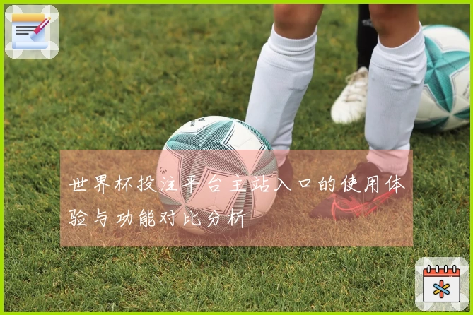 世界杯投注平台主站入口的使用体验与功能对比分析