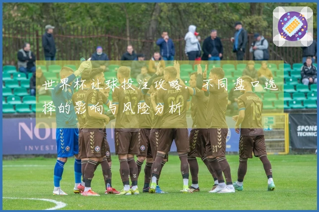 世界杯让球投注攻略：不同盘口选择的影响与风险分析
