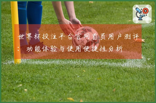 世界杯投注平台官网首页用户测评：功能体验与使用便捷性分析