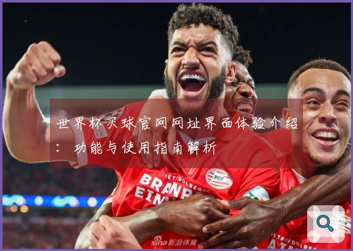 世界杯买球官网网址界面体验介绍：功能与使用指南解析