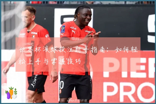 世界杯滚球投注新手指南：如何轻松上手与掌握技巧