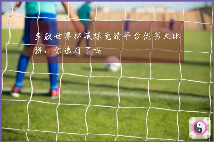 多款世界杯滚球竞猜平台优劣大比拼，你选对了吗