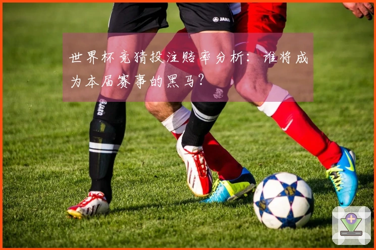 世界杯竞猜投注赔率分析：谁将成为本届赛事的黑马？