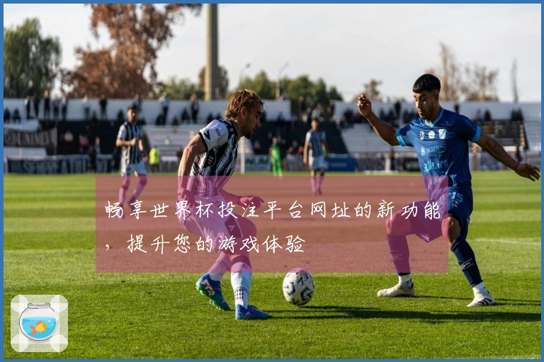畅享世界杯投注平台网址的新功能，提升您的游戏体验